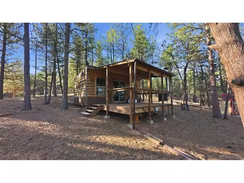 163 Ouray Rd, Florissant, CO 80816