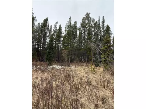 111 Silver Creek Rd, Idaho Springs, CO 80452