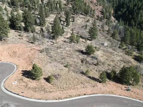 17 Blue Haven Pl, Woodland Park, CO 80863