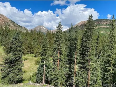 1141 County Road 698, Alma, CO 80420