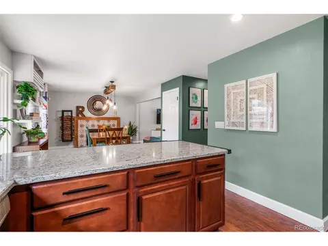 4813 S Beech St, Morrison, CO 80465 photo 15