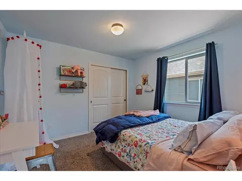 577 Tristan Pl, Berthoud, CO 80513 photo 18