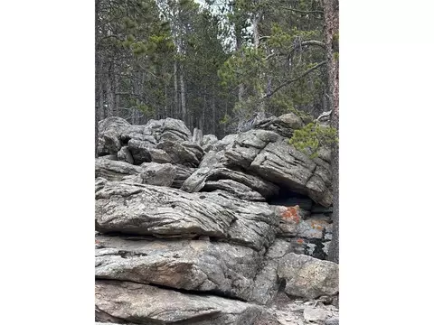 62 Badger Rd, Black Hawk, CO 80422