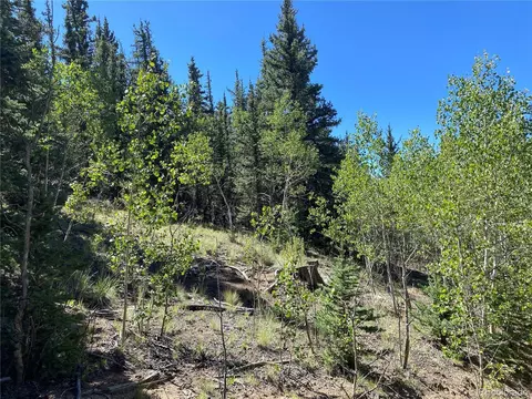 38 Travois Ct, Como, CO 80432 photo 6