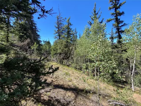 38 Travois Ct, Como, CO 80432 photo 28