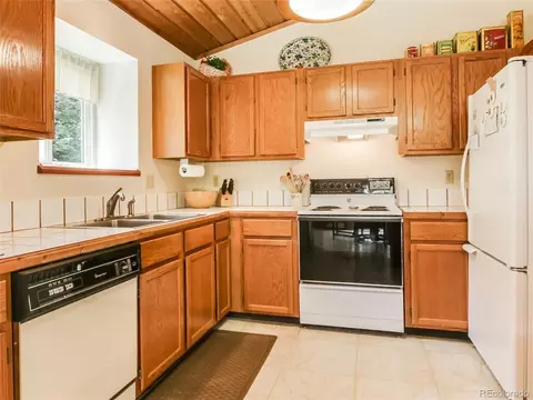 1289 Burland Dr, Bailey, CO 80421 photo 4