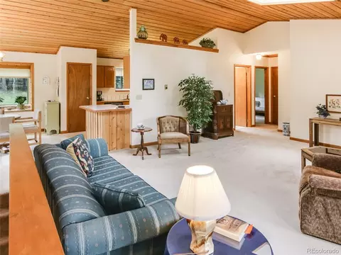 1289 Burland Dr, Bailey, CO 80421 photo 20