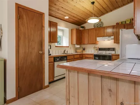1289 Burland Dr, Bailey, CO 80421 photo 15