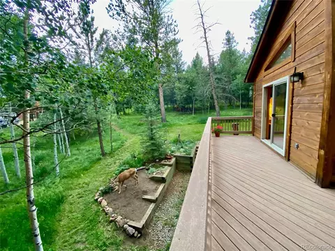 1289 Burland Dr, Bailey, CO 80421 photo 10