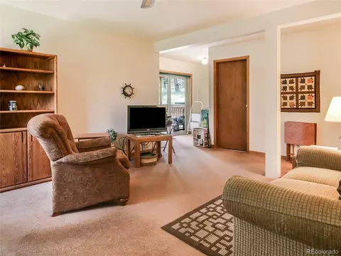 1289 Burland Dr, Bailey, CO 80421 photo 18