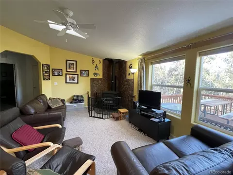 663 Bellows Rd, Hartsel, CO 80449 photo 8