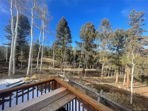 663 Bellows Rd, Hartsel, CO 80449 photo 4