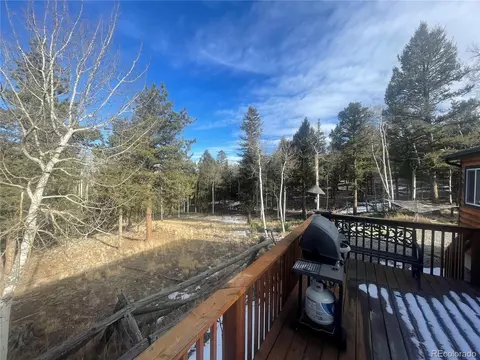 663 Bellows Rd, Hartsel, CO 80449 photo 5
