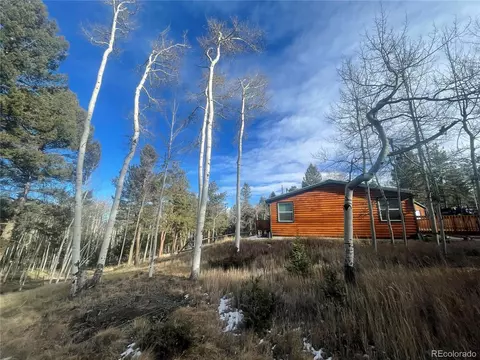 663 Bellows Rd, Hartsel, CO 80449 photo 27