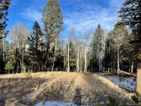 663 Bellows Rd, Hartsel, CO 80449 photo 6