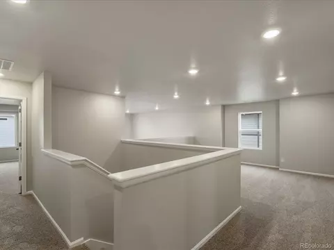17618 E 90th Pl, Commerce City, CO 80022 photo 21