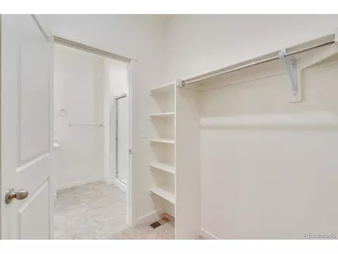 1904 Thundercloud Dr, Windsor, CO 80550 photo 22