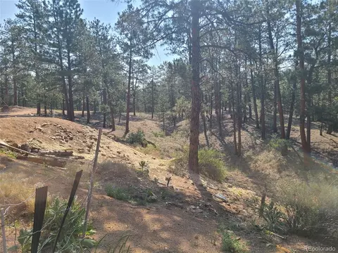 23721 Summit St, Pine, CO 80470 photo 26