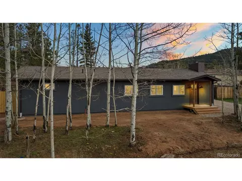 510 N Park Dr, Woodland Park, CO 80863