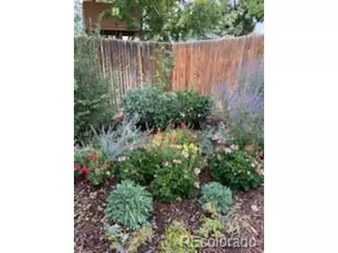 4591 S Deframe St, Morrison, CO 80465 photo 44