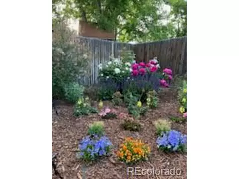 4591 S Deframe St, Morrison, CO 80465 photo 42