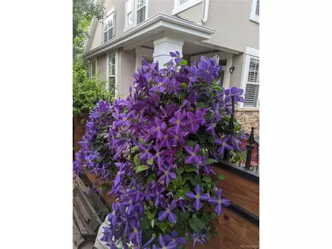 7634 E 9th Ave, Denver, CO 80230 photo 34