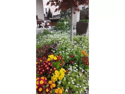 7634 E 9th Ave, Denver, CO 80230 photo 36