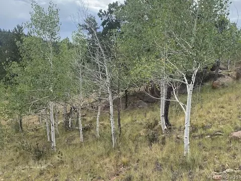 8518 Remington Rd, Como, CO 80432 photo 8