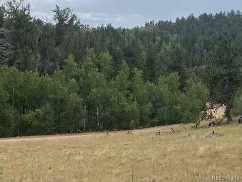 8518 Remington Rd, Como, CO 80432 photo 6