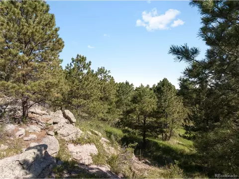 18673 N Elbert Rd, Elbert, CO 80106 photo 4