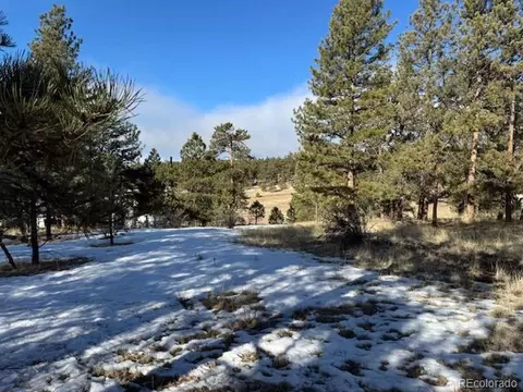 291 Rhyolite Ln, Florissant, CO 80816