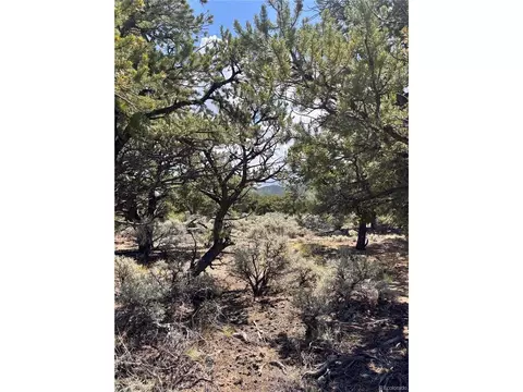 1134 Jorgulesco Rd, Fort Garland, CO 81133