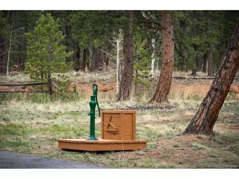 692 Tincup Ter, Bailey, CO 80421 photo 37