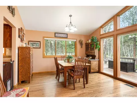 692 Tincup Ter, Bailey, CO 80421 photo 20