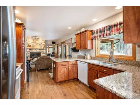 692 Tincup Ter, Bailey, CO 80421 photo 9