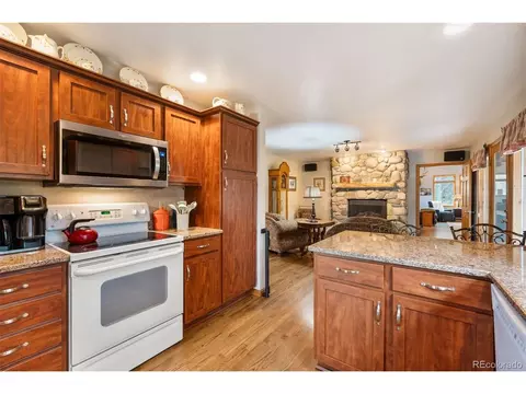 692 Tincup Ter, Bailey, CO 80421 photo 13