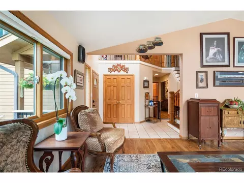 692 Tincup Ter, Bailey, CO 80421 photo 16