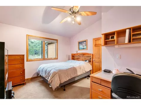 692 Tincup Ter, Bailey, CO 80421 photo 27