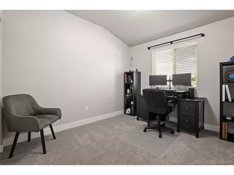 4167 E 98th Pl, Thornton, CO 80229 photo 29