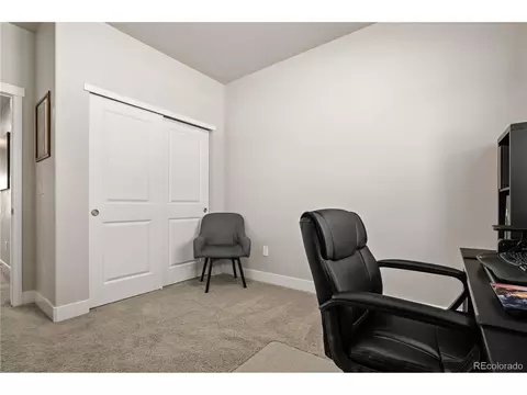 4167 E 98th Pl, Thornton, CO 80229 photo 30