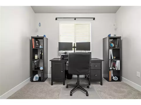 4167 E 98th Pl, Thornton, CO 80229 photo 31