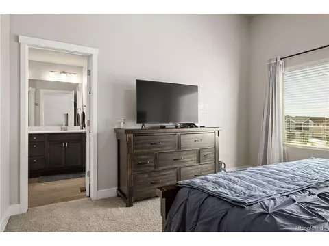 4167 E 98th Pl, Thornton, CO 80229 photo 21