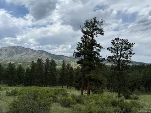 Undisclosed, Bailey, CO 80421 photo 30