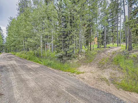 10960 Webb Ave, Conifer, CO 80433 photo 27