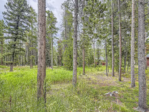 10960 Webb Ave, Conifer, CO 80433 photo 24