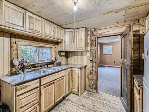 10960 Webb Ave, Conifer, CO 80433 photo 8