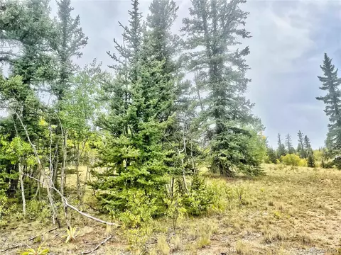 165 Cartridge Way, Como, CO 80432 photo 13