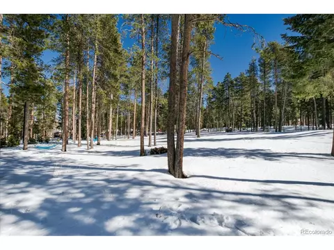 10892 Barker Ave, Conifer, CO 80433 photo 30
