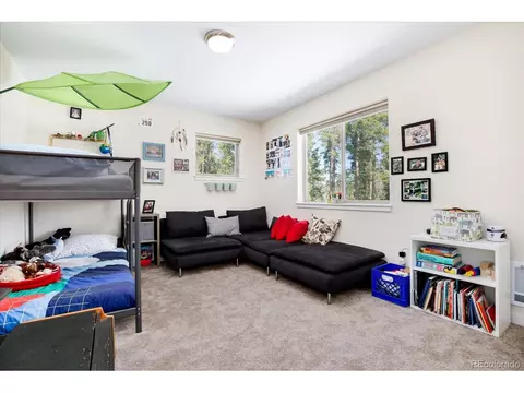10892 Barker Ave, Conifer, CO 80433 photo 23