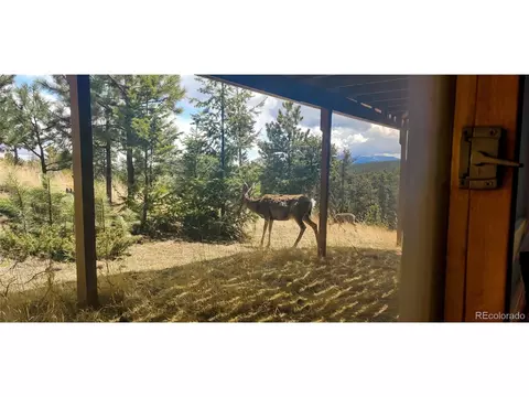 62 Old Corral Rd, Bailey, CO 80421 photo 30